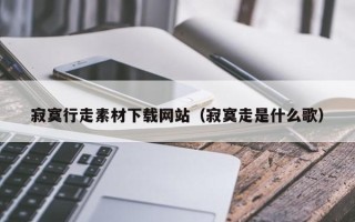 聊城寂寞行走素材下载网站（寂寞走是什么歌）